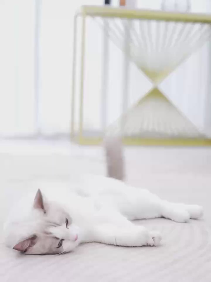 RANOVA Freeze-dried Yogurt Cubes For Dogs & Cats x 40 Pieces Mixed Flavor-PETROOM