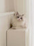 Static Lint Roller – Reusable, Eco-Friendly Pet Hair & Dust Remover-Petroom