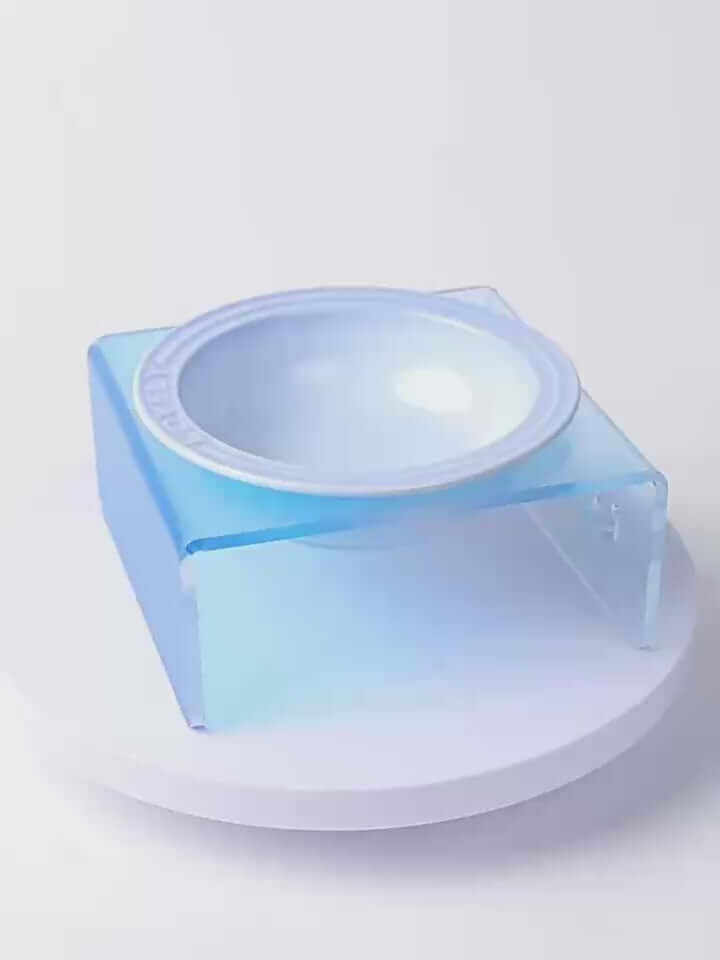 Acrylic Elevated Pet Bowl – Raised Cat & Dog Feeder Stand (Yellow, Pink, Sky Blue)