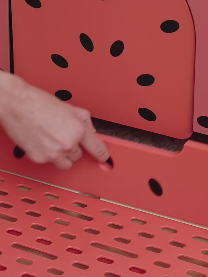 Vetreska Grapefruit-Shaped Cat Litter Box XL Size-Petroom