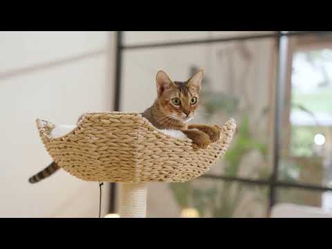 MICHU Iris Cat Tower Deluxe 3-Tier Designer Flower Cat Tree-Petroom