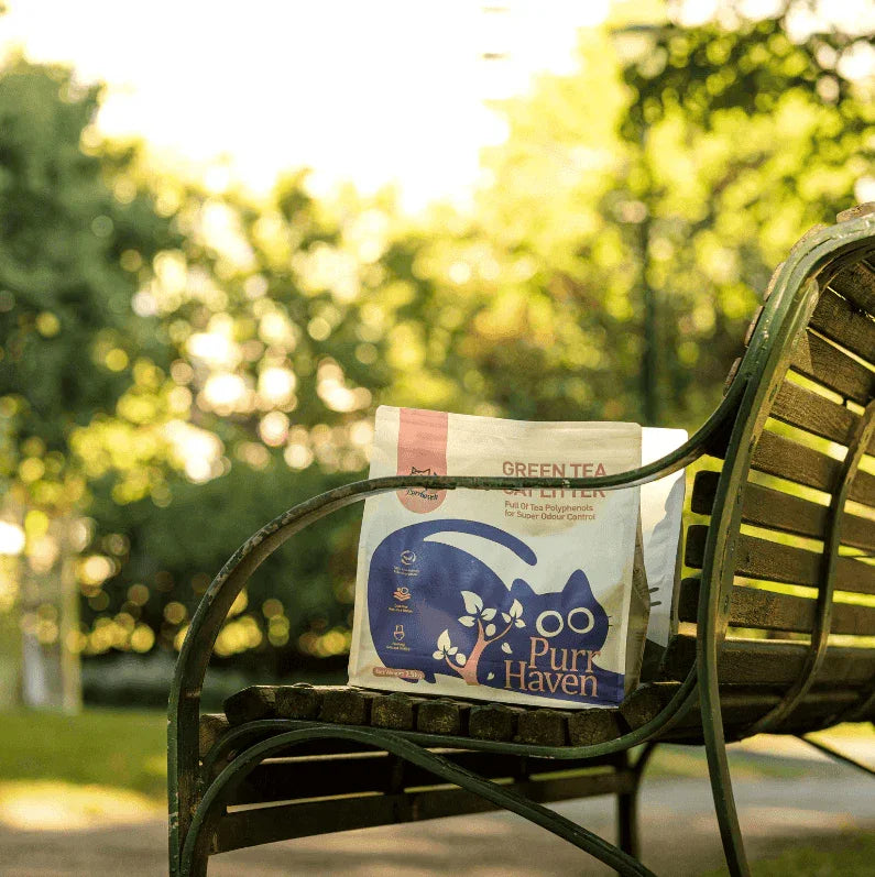 Purr Haven Green Tea Plant & Tofu Cat Litter 2.5kg/6l on a park bench in natural sunlight.