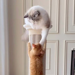 Roman Column Aesthetic Corrugated Cat Scratching Post – Stylish cat scratchers for Indoor Cats with two cats playing.