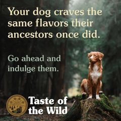 Taste of the Wild Wetlands Canine Grain-Free Dry Dog Food 12.2kg