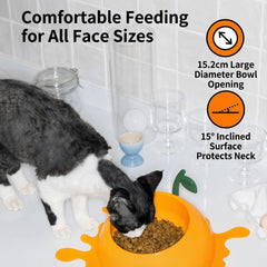 Vetreska Juicy Orange Pet Bowl & Spoon & Mat Set with comfortable feeding design and large bowl opening for pets.