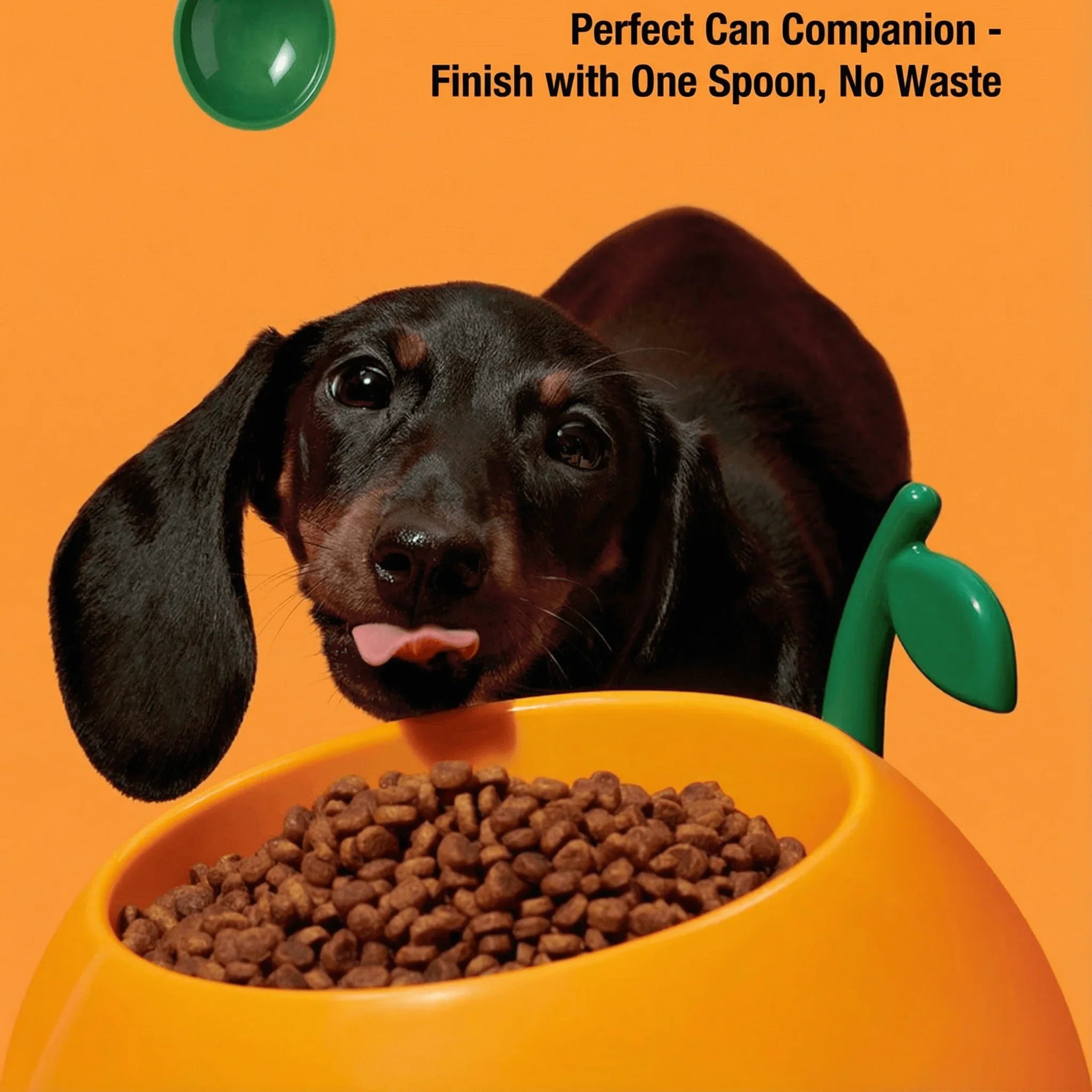 Vetreska Juicy Orange Pet Bowl & Spoon & Mat Set with dog enjoying dry food in a vibrant orange bowl.